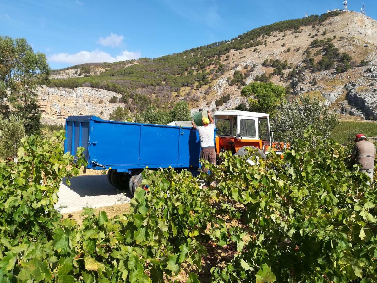Villa Bonifato Vista Sulle Campagne E Sul Mare Siciliano Cozy House Italy Alcamo Dış mekan fotoğraf