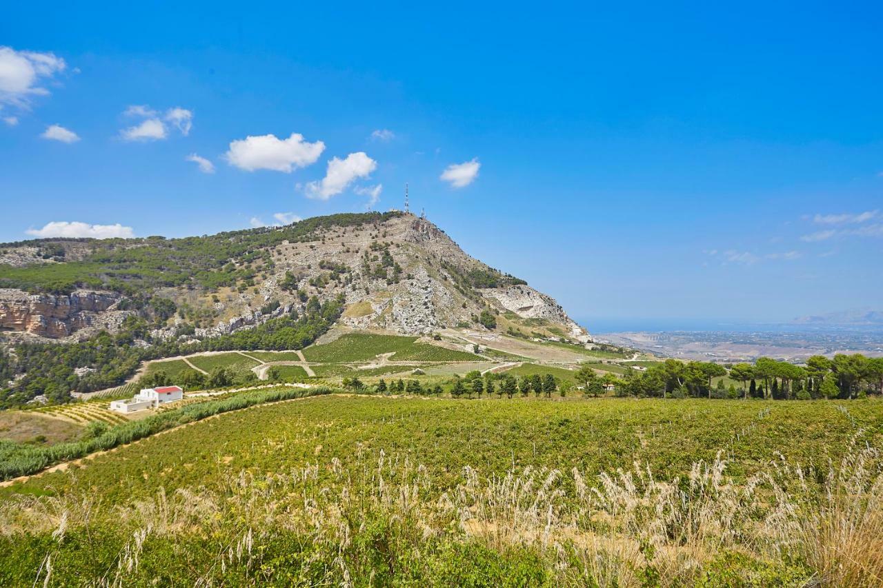 Villa Bonifato Vista Sulle Campagne E Sul Mare Siciliano Cozy House Italy Alcamo Dış mekan fotoğraf