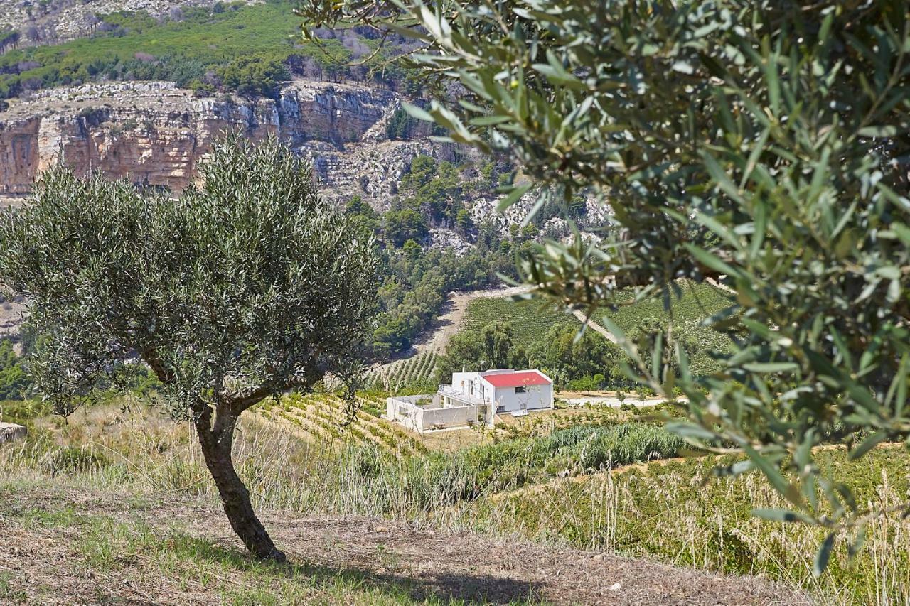 Villa Bonifato Vista Sulle Campagne E Sul Mare Siciliano Cozy House Italy Alcamo Dış mekan fotoğraf
